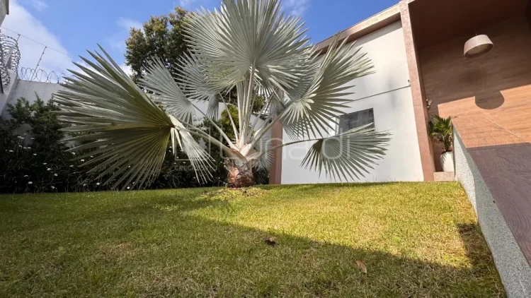 Casa com 3 Dormitórios