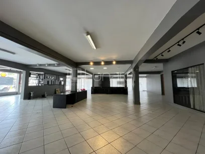 Foto Sala Comercial
