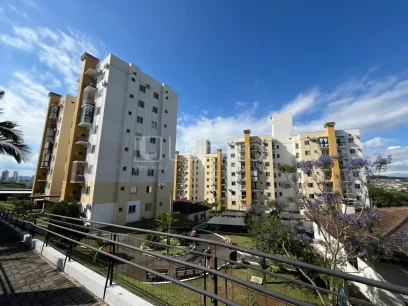 Apartamento com 2 Dormitórios