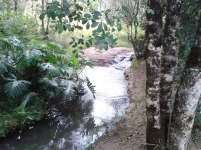 Foto Sítio com 1 Dormitório