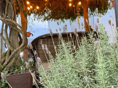 Foto Apartamento com 3 Dormitórios