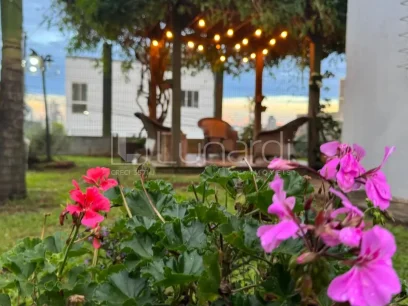 Apartamento com 3 Dormitórios