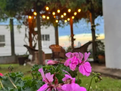 Foto Apartamento com 3 Dormitórios