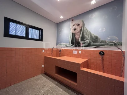 Foto Apartamento com 2 Dormitórios