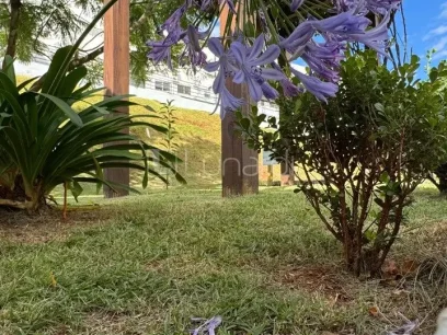 Foto Apartamento com 2 Dormitórios