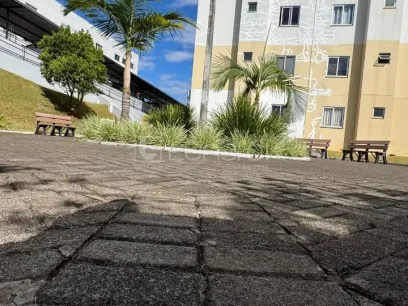 Foto Apartamento com 2 Dormitórios