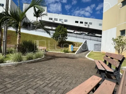 Foto Apartamento com 2 Dormitórios