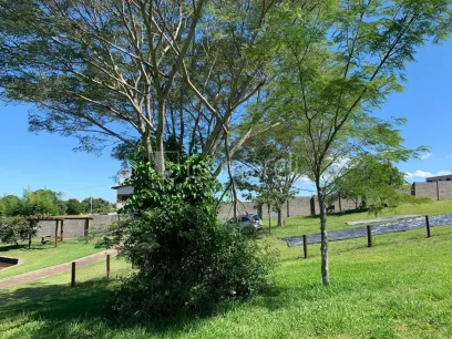 Terreno - Miniatura - Lunardi Imóveis