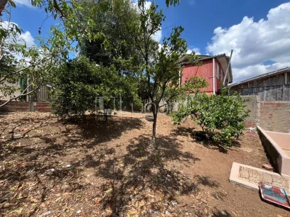 Casa com 3 Dormitórios - Miniatura - Lunardi Imóveis