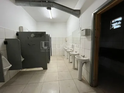 Barracão - Miniatura - Lunardi Imóveis