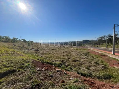 Terreno - Lunardi Imóveis