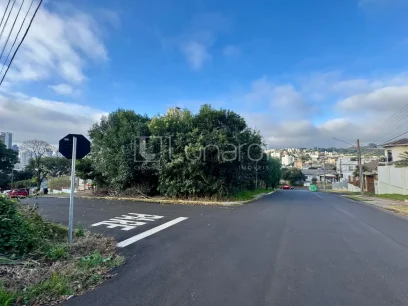 Terreno - Miniatura - Lunardi Imóveis