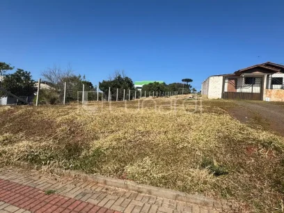 Terreno - Miniatura - Lunardi Imóveis