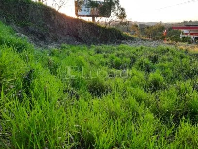 Terreno Comercial - Miniatura - Lunardi Imóveis