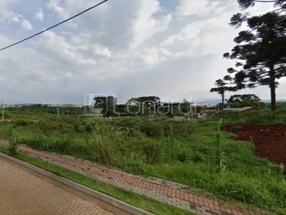 Terreno - Miniatura - Lunardi Imóveis