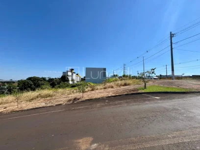 Terreno Comercial - Miniatura - Lunardi Imóveis