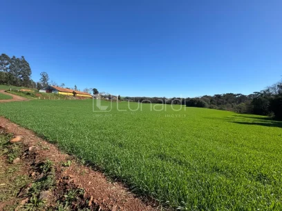 Área - Lunardi Imóveis