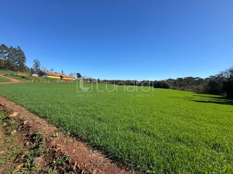 Área - Lunardi Imóveis