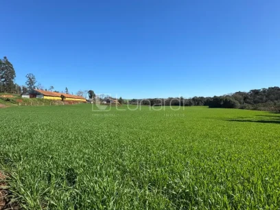 Área - Miniatura - Lunardi Imóveis