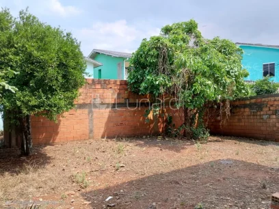 Casa com 4 Dormitórios - Miniatura - Lunardi Imóveis