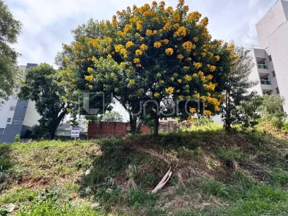 Terreno - Miniatura - Lunardi Imóveis