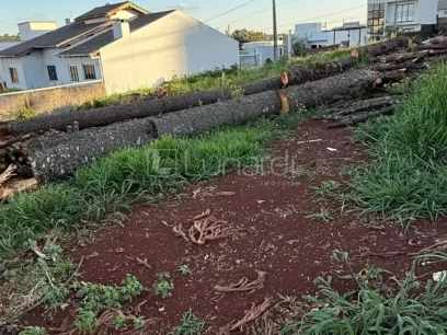 Terreno - Miniatura - Lunardi Imóveis