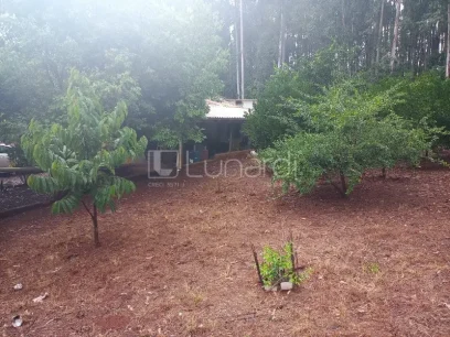 Casa com 4 Dormitórios - Miniatura - Lunardi Imóveis