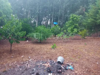 Casa com 4 Dormitórios - Miniatura - Lunardi Imóveis