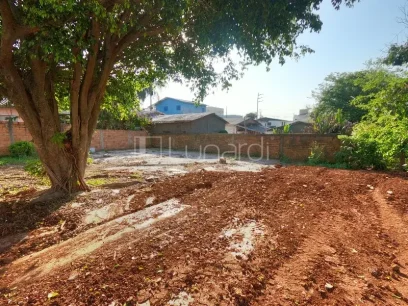 Barracão - Miniatura - Lunardi Imóveis