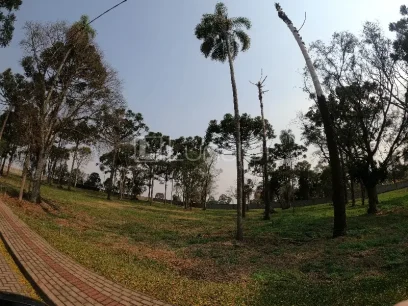 Terreno - Miniatura - Lunardi Imóveis