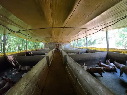 Área - Miniatura - Lunardi Imóveis