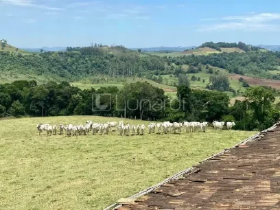 Área - Miniatura - Lunardi Imóveis