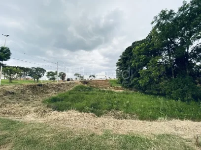 Terreno - Miniatura - Lunardi Imóveis