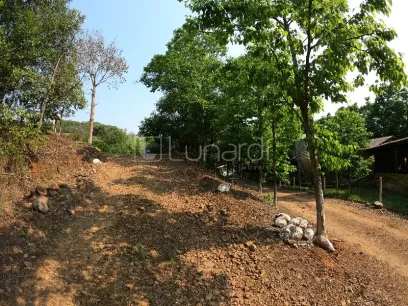 Área - Miniatura - Lunardi Imóveis