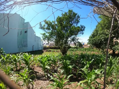 Terreno - Miniatura - Lunardi Imóveis