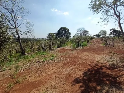 Área - Miniatura - Lunardi Imóveis