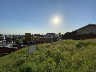 Terreno - Miniatura - Lunardi Imóveis