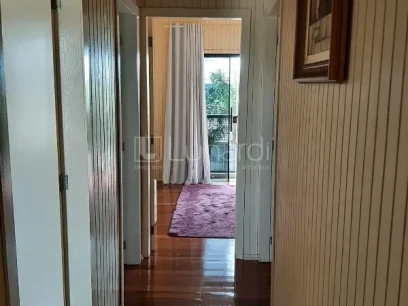 Casa com 3 Dormitórios - Miniatura - Lunardi Imóveis