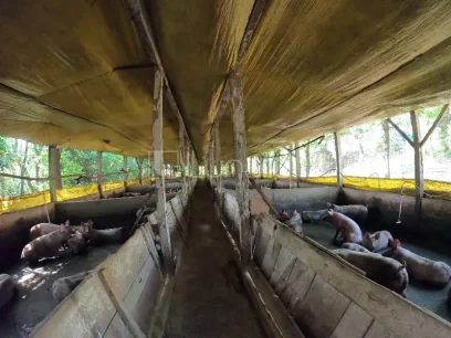 Área - Miniatura - Lunardi Imóveis