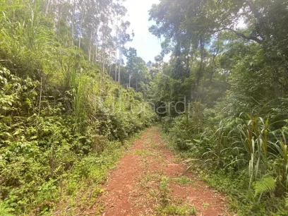 Área - Miniatura - Lunardi Imóveis