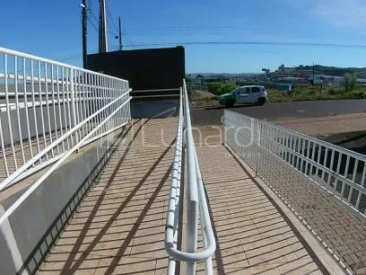 Barracão - Miniatura - Lunardi Imóveis