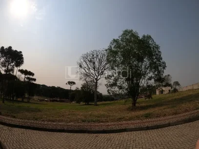 Terreno - Miniatura - Lunardi Imóveis