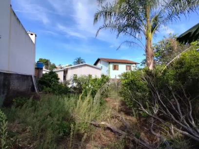 Casa com 3 Dormitórios - Miniatura - Lunardi Imóveis