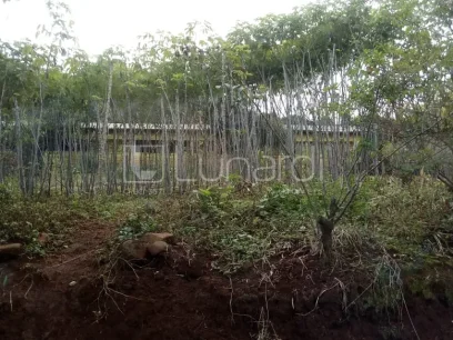 Área - Miniatura - Lunardi Imóveis