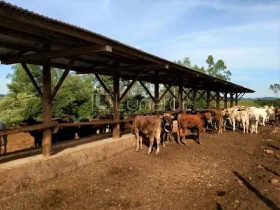 Área - Miniatura - Lunardi Imóveis