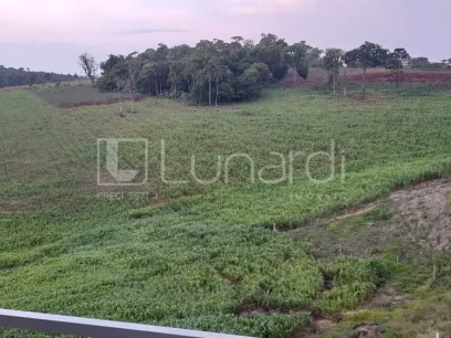 Apartamento com 2 Dormitórios - Miniatura - Lunardi Imóveis