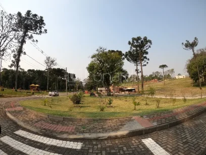 Terreno - Miniatura - Lunardi Imóveis