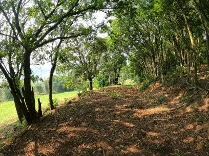 Área - Miniatura - Lunardi Imóveis