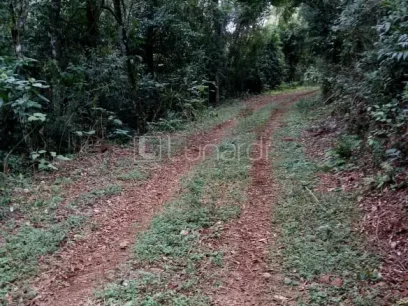 Área - Miniatura - Lunardi Imóveis