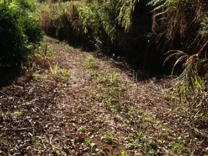 Área - Miniatura - Lunardi Imóveis